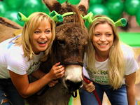 Magarac se smatra najpohotnijom �ivotinjom